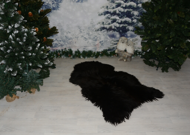 B-Ware Islandfell Schwarz